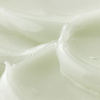 V3H52E6F7EC11925E65B36FC072FCD7D7A5R7528384P5